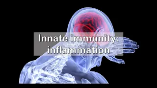 Innate immunity: the inflammatory response
