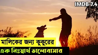 Red Dog Movie Explain Explain In Bangla|Emotional|American|The World Of Keya