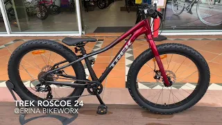 Trek Roscoe 24 @ Erina Bikeworx