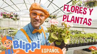 Blippi aprende sobre plantas🌱🌸| Blippi Español | Videos educativos para niños | Aprende y Juega