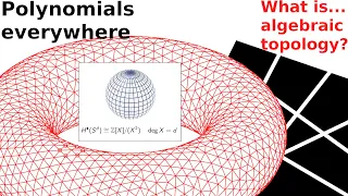 What is...the cohomology ring?