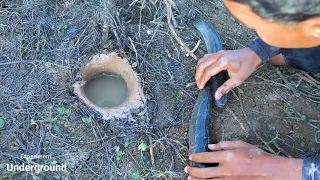 Unbelievable Monster Fishing From Underground Hole Dry Season Fish Come Out With Snake #fishing2022