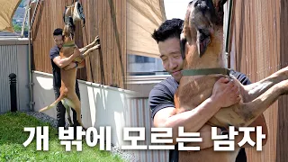 First reveal of Hyung-Wook's dogs' exercise routine.