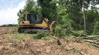 Корчування чагарників , самосів бульдозером з викорчовувачем