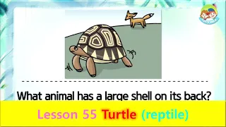 80 Animals | Unit 55 Turtle | Reptile