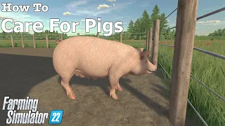 How To | Care For Pigs | Farming Simulator 22