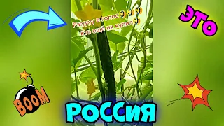 ЭТО РОССИЯ 😊😂🤣 2021 #32 😊😂🤣 #ЛУЧШИЕ #НОВЫЕ #СМЕШНЫЕ #ВИДЕО