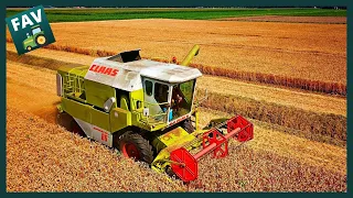 Tarwe dorsen 2020 | CLAAS combine DOMINATOR 86 | Wheat harvest
