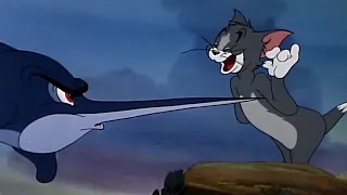 Tom si Jerry ~   Mica sirena   ~ Desene animate traduse dublate in romana