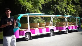 See This 15 Passenger Electric Shuttle with Pink Paint Job- From Moto Electric Vehicles
