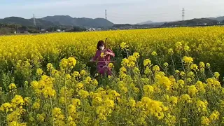 朧月夜〜再会　潮海ケイ　和胡生音　ひばり🐦囀り入り🎶　里地帰cover