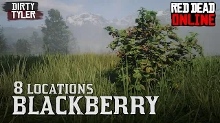 Blackberry RDR2 Locations in Red Dead Online  for Daily Challenges (RDR2)