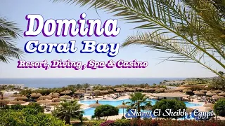 Domina Coral Bay Oasis Resort 5 - Unwind in Paradise at Sharm El Sheikh's Premier Beachfront Escape