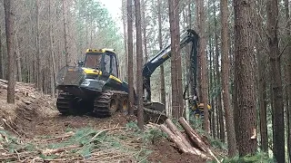 Harvester Ponsse Cobra com Cabeçote Ponsse H8 (Desbaste em Pinus taeda (14 anos))