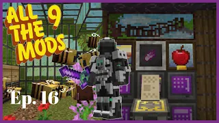 All The Mods 9 - Ep16 - Dragon Soul and Productive Bees