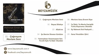 Mehmet Emin Ay - Beyaz Dilekçe