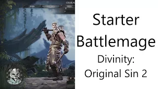 ✅ Basic Starter Battlemage in Divinity: Original Sin 2