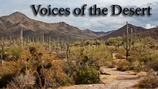 Voices of the Desert