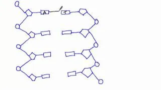 3.3.5 Draw a simple diagram of DNA structure