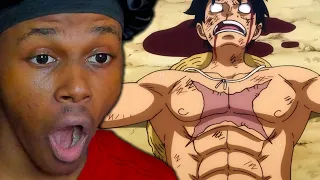 ANIME HATER Watches One Piece Most BADASS Knockouts