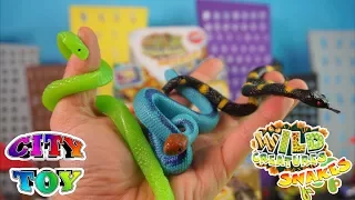 Las Serpientes llegan a City Toy Wild Creatures SNAKES
