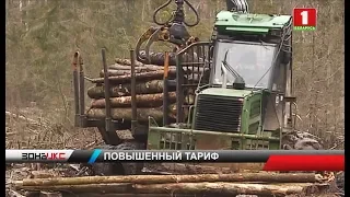 Большой перечень нарушений выявила финансовая милиция во время проверки Белыничского лесхоза. Зона Х