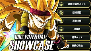 100% AGL SSJ3 Bardock Level 10 Link Skills Showcase | Dragon Ball Z Dokkan Battle