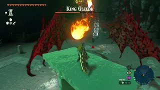 Zelda ToTK - The Depths King Gleeok