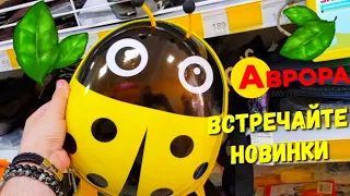 Аврора 🤩 Магазин полон НОВИНОК😍 как никогда 👍 Даже я не смог выйти без покупок 🙋‍♂️ Супер обзор ‼