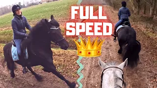 Full speed with Queen👑Uniek and Waloubet | Friesian Horses Part 3