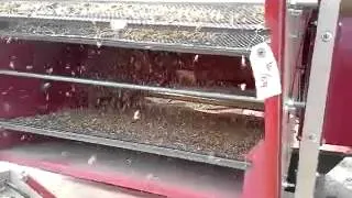 Wheat cleaning