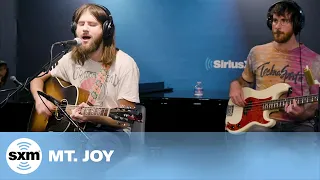 Lemon Tree — Mt. Joy [LIVE @ SiriusXM] | SiriusXM