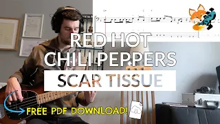 Red Hot Chili Peppers - Scar Tissue (Bass Cover) | Bass TAB Download