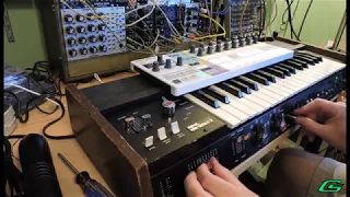 Sequencing a Univox Minikorg 700S [Demo #3] Using KVP + Beatstep Pro