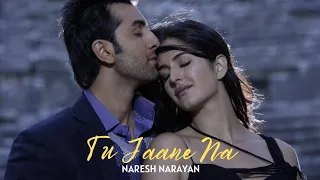 Naresh Narayan - Tu Jaane Na ft. Atif Aslam (Audio)