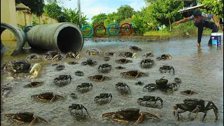 Wow Amazing! a lot of crabs along water flow on road when flood, a fisherman catch a lot today