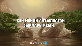 Толгонай Арзыкеева - Сен менин айтылбаган сырларымсын #кыргызстан #ырлар