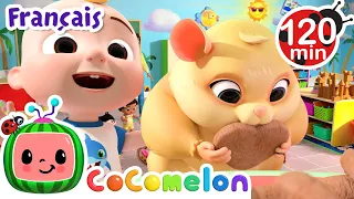 Jelly Bean | Chansons pour Bébés | CoComelon Le coin des Animaux de JJ - Comptines