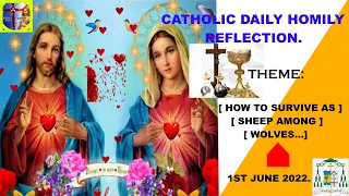 Catholic daily homily reflection for today [ How to Survive as Sheep among Wolves.]
