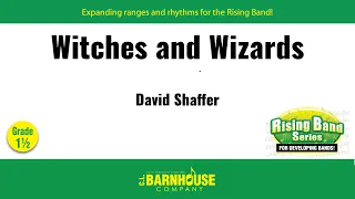 Witches and Wizards by David Shaffer