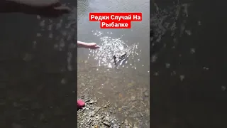 Редкий Случай На Рыбалке 🎣