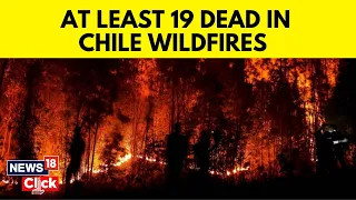 "Extreme" Wildfires Kill At Least 19 In Chile, State Of Emergency Declared | English News | News18