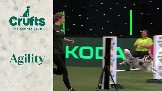 Agility - Championship - Small/Medium Final | Crufts 2024