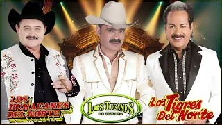 Los Tucanes De Tijuana, Los Tigres Del Norte, Los Huracanes Del Norte y Mas