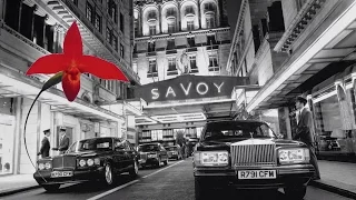 The Savoy London AMERICAN BAR Declan McGurk