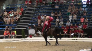 CVI Bern 2017 - Senior PDD Harlekin (Selina Walder & Svenja Lehmann)