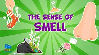 Five Senses: The Sense of Smell | Educational Videos for Kids