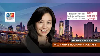 Will China's Economy Collapse? - Professor Ann Lee