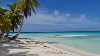 DomRep 2022 - Viva Wyndham Dominicus Beach - mit Saona Individualrtip   Part1