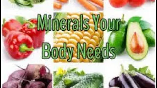 2.6: Mineral salts ,Water and roughages |Human Nutrition | Nutrition in Mammals | Biology form 2